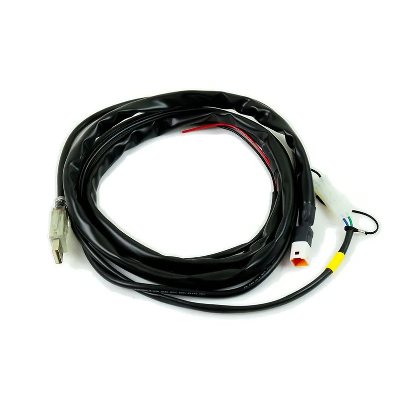 Worldwide Shipping USB programming cable for ECULMB and RX1 PRO Control Units
