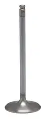 Budget KPMI WHITE DIAMOND EXHAUST VALVE 30-33816K